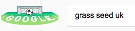 typing-grass-seed-uk-into-google.png