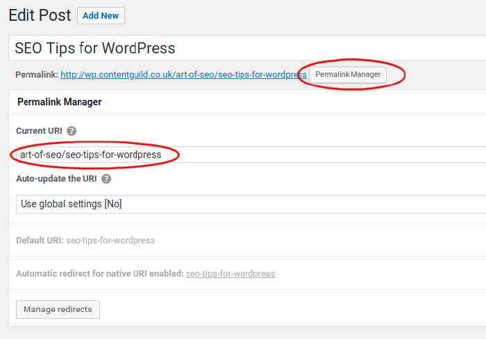 wp-permalink-manager-art-of-seo.png