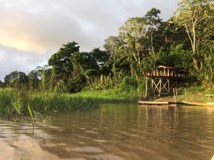 amazon-jungle.jpg ...even in the middle of the Amazon jungle!